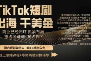 TikTok短剧出海干美金，商业已经闭环抓紧布局，抢占关键词抢占排名