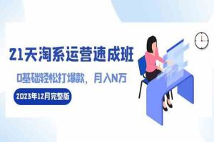 21天淘系运营-速成班2023年12月完整版：0基础轻松打爆款，月入N万-110节课