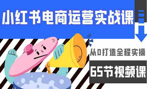 小红书电商运营实战课，​从0打造全程实操（65节视频课）