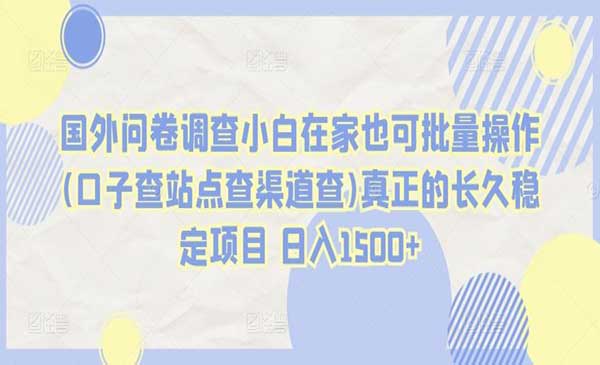 国外问卷调查小白在家也可批量操作(口子查站点查渠道查)真正的长久稳定项目 日入1500+