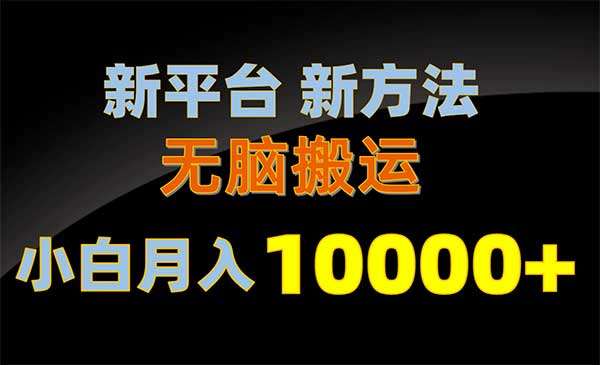 新平台新方法，无脑搬运，月赚10000+，小白轻松上手不动脑