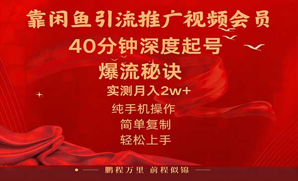 闲鱼暴力引流推广视频会员，能做到日入2W+，操作简单