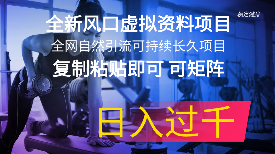 全新风口虚拟资料项目 全网自然引流可持续长久项目 复制粘贴即可可矩阵