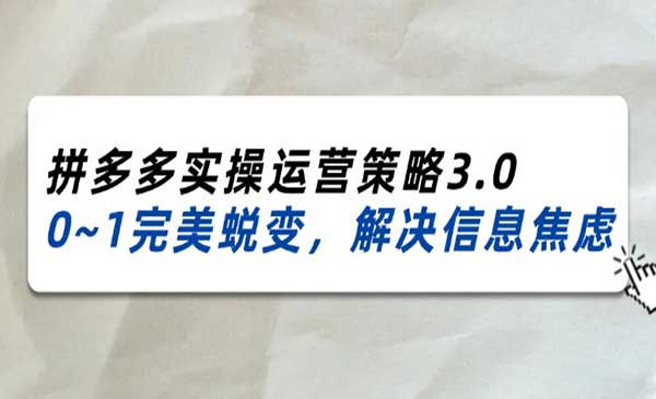 2024_2025拼多多实操运营策略3.0，0~1完美蜕变，解决信息焦虑（38节）