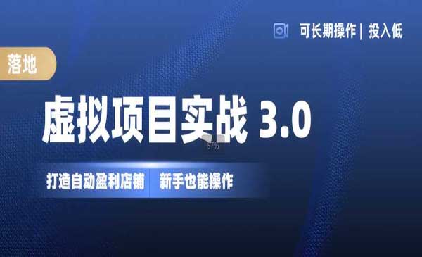 虚拟项目实战3.0，打造自动盈利店铺，可长期操作投入低，新手也能操作